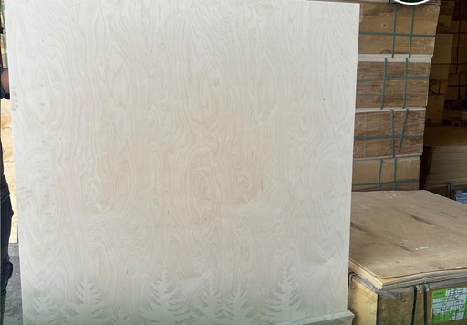 .Birch Plywood